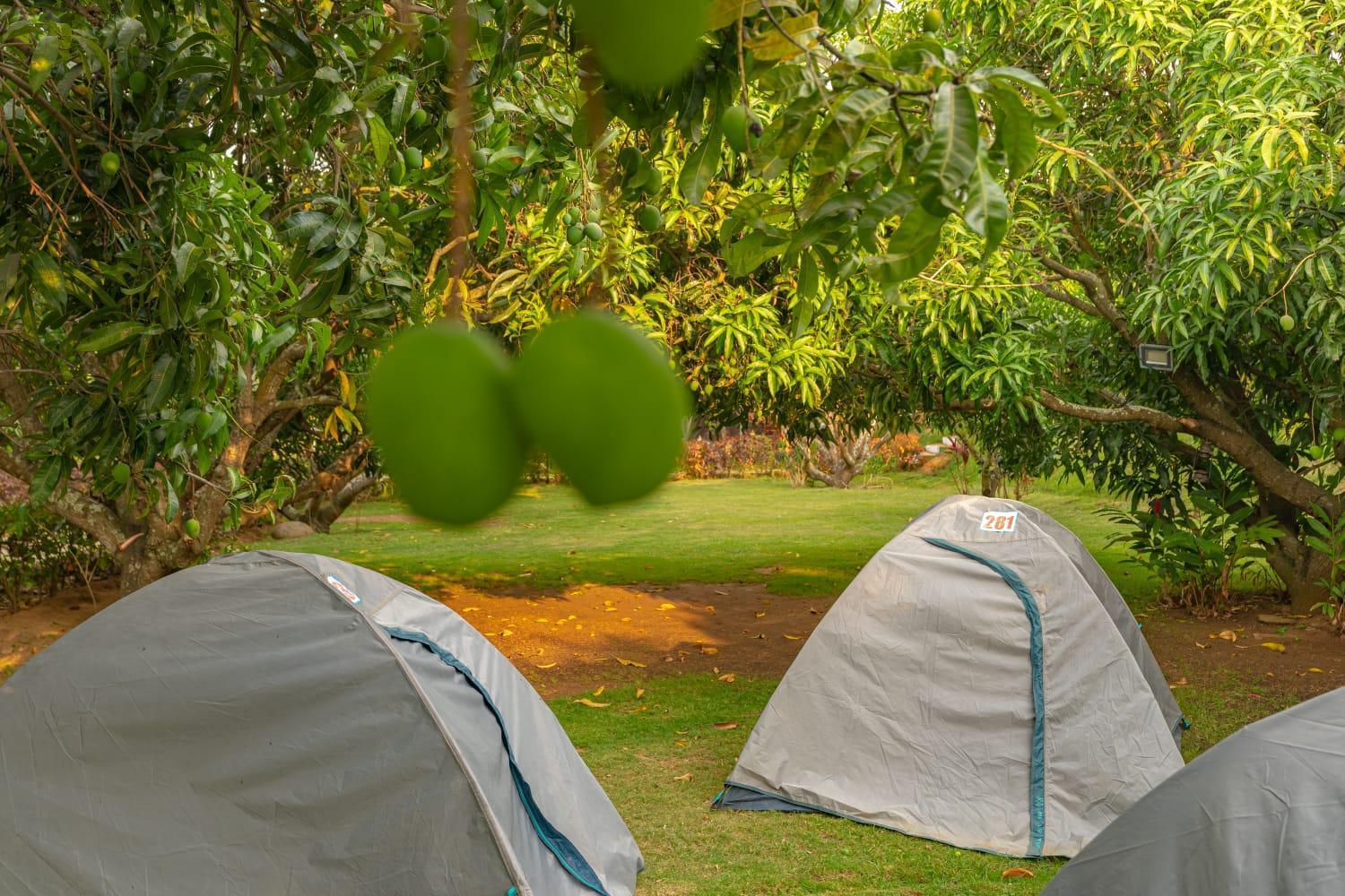 Rāmanagaram Q Mango Resort מראה חיצוני תמונה